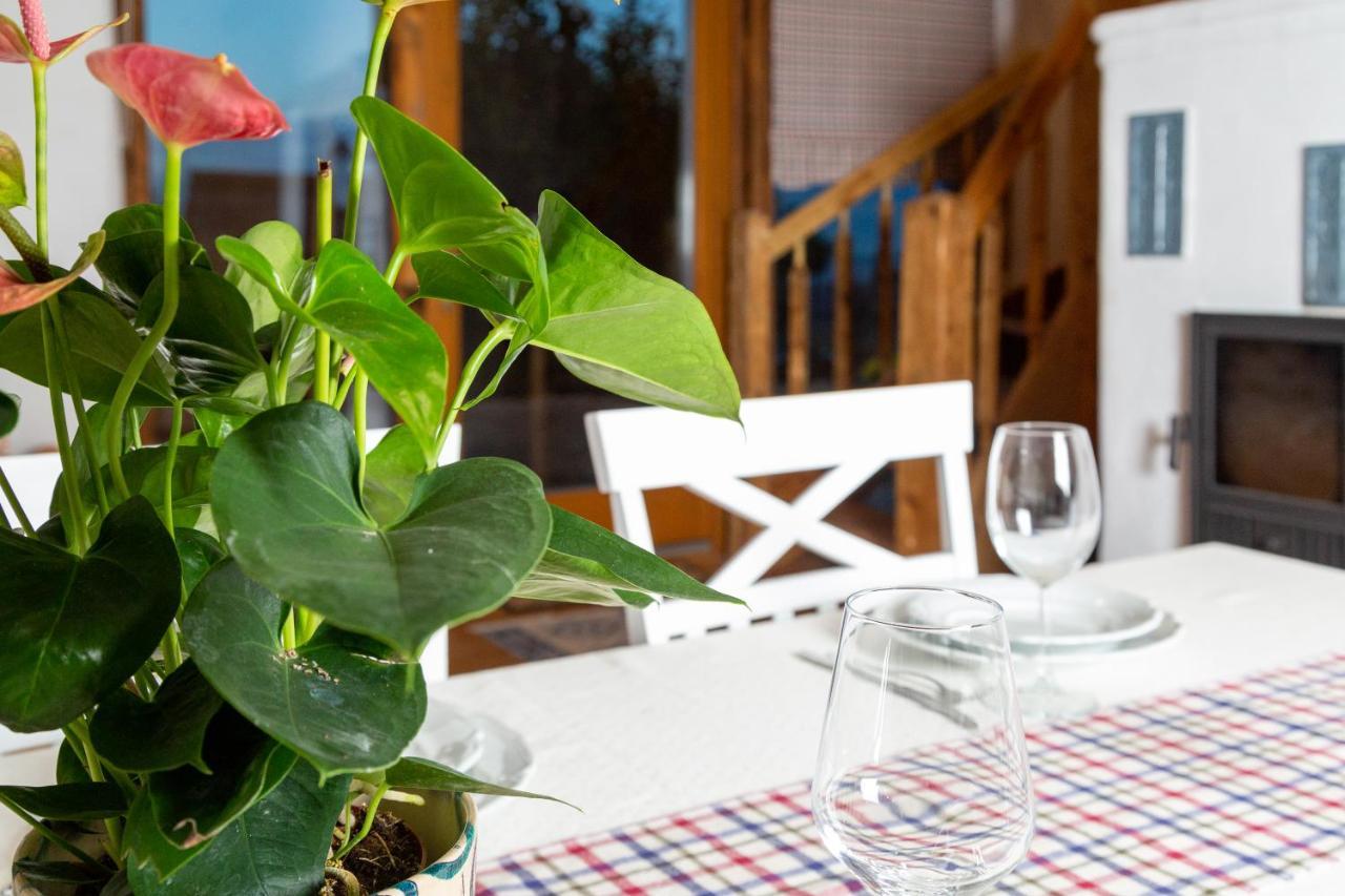 Casele Cu Stuf B&B Haus Ulrike Salicea ภายนอก รูปภาพ