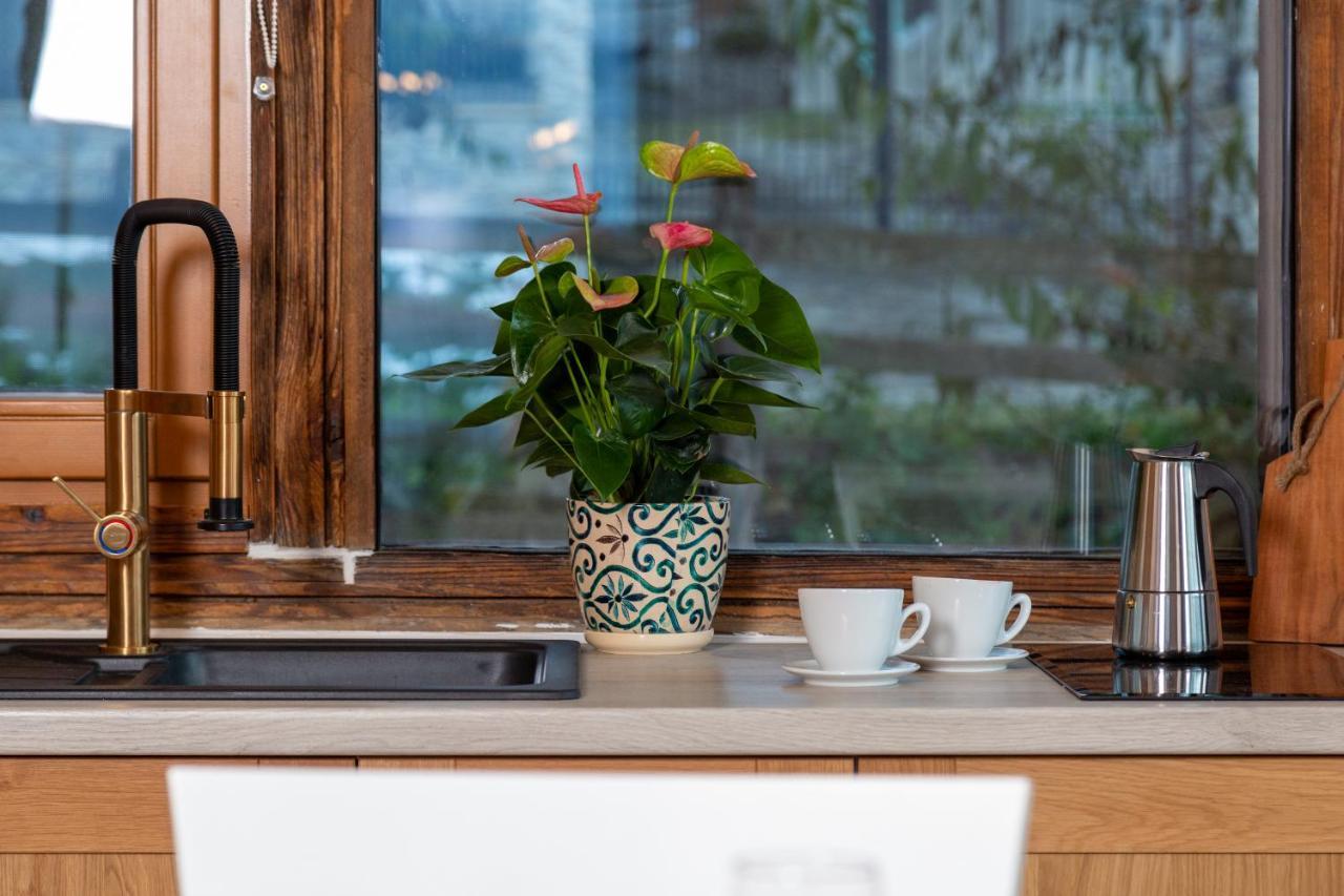 Casele Cu Stuf B&B Haus Ulrike Salicea ภายนอก รูปภาพ
