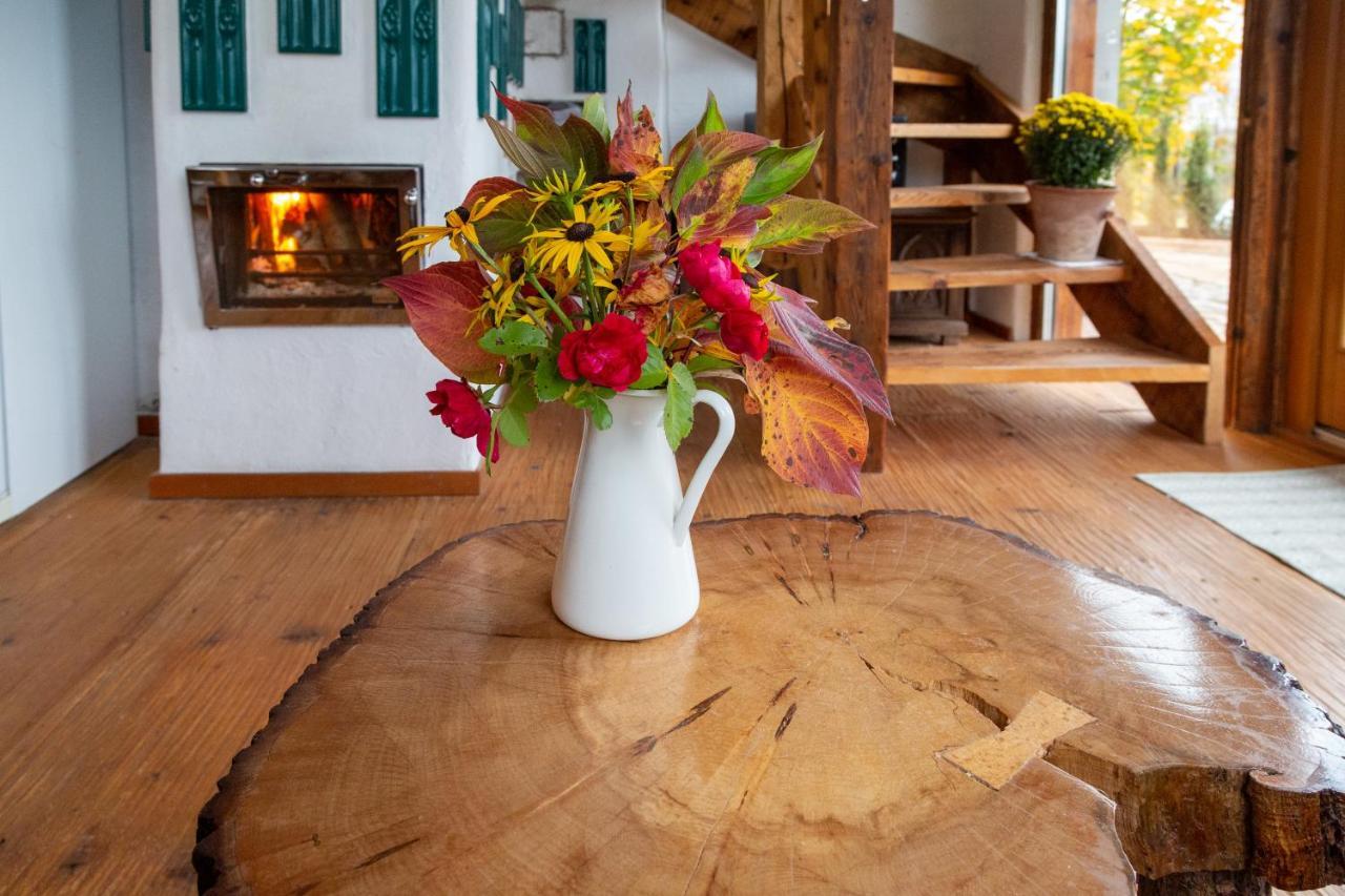 Casele Cu Stuf B&B Haus Ulrike Salicea ภายนอก รูปภาพ