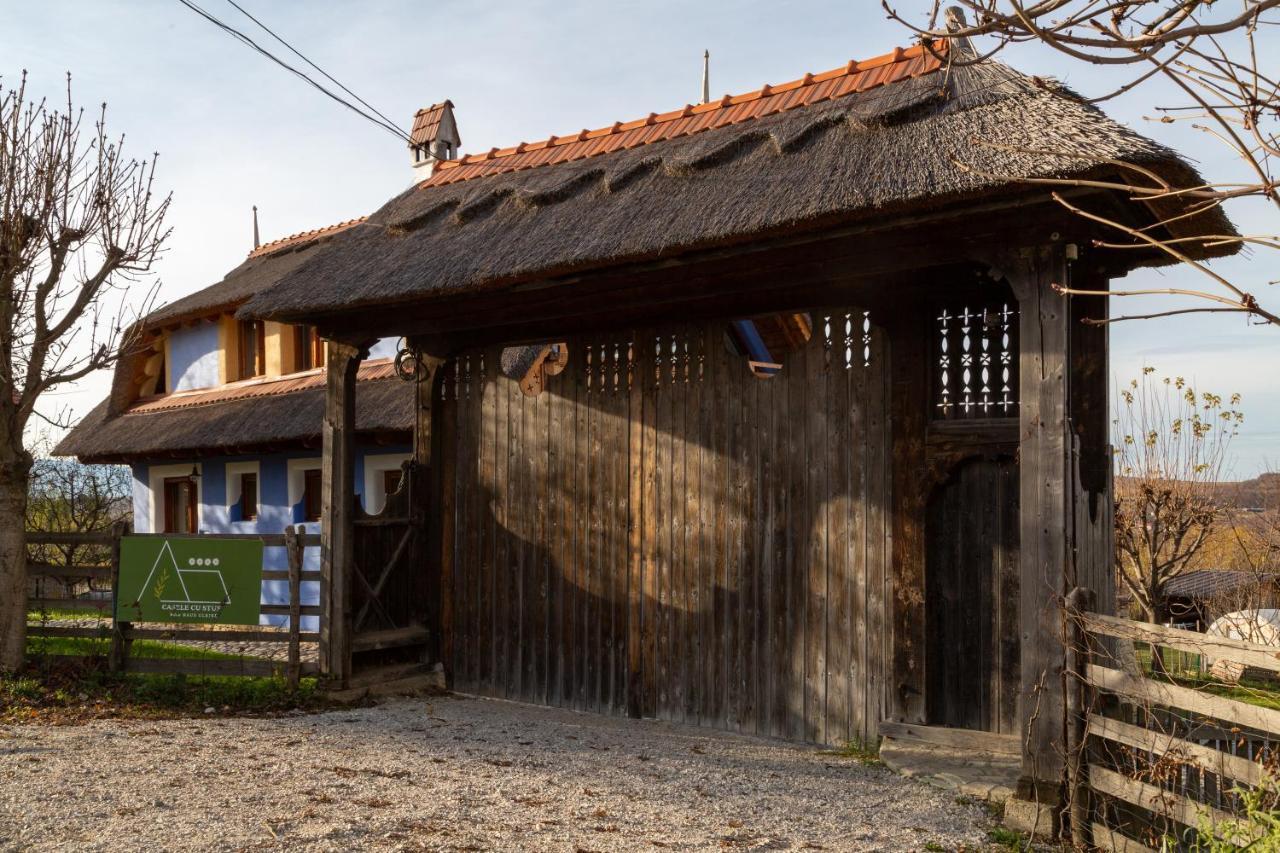 Casele Cu Stuf B&B Haus Ulrike Salicea ภายนอก รูปภาพ