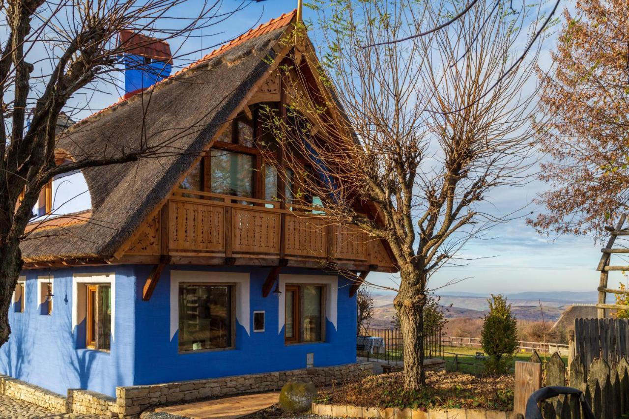 Casele Cu Stuf B&B Haus Ulrike Salicea ภายนอก รูปภาพ
