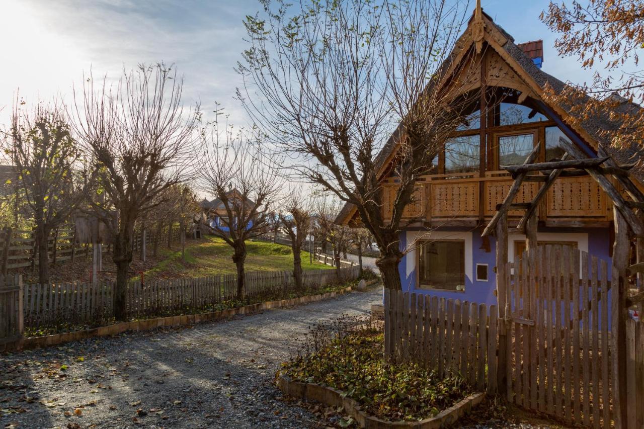 Casele Cu Stuf B&B Haus Ulrike Salicea ภายนอก รูปภาพ
