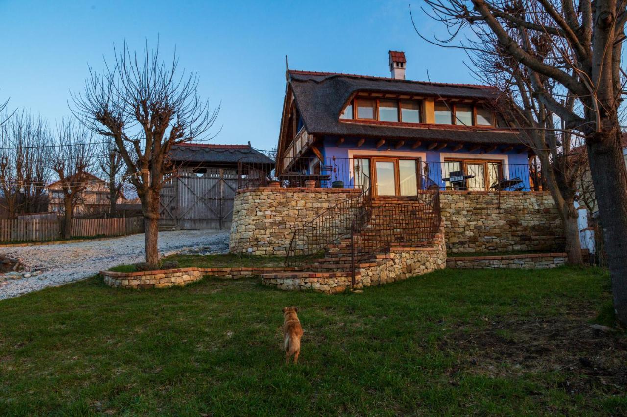 Casele Cu Stuf B&B Haus Ulrike Salicea ภายนอก รูปภาพ
