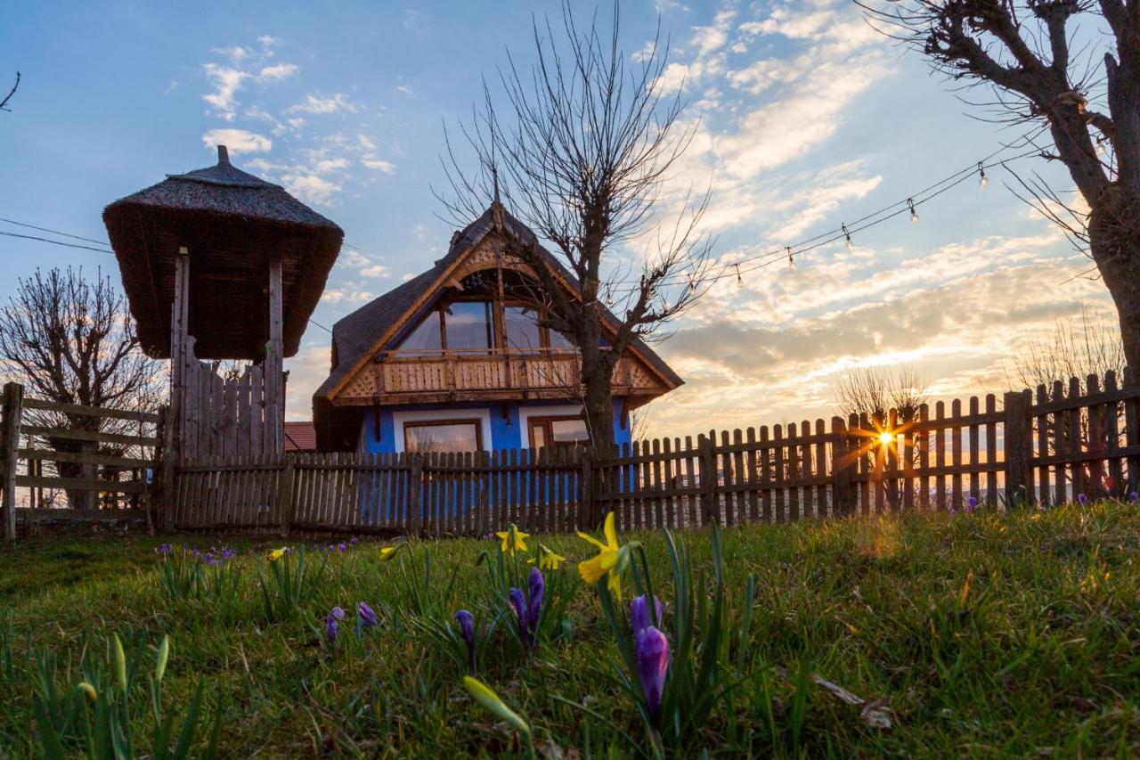 Casele Cu Stuf B&B Haus Ulrike Salicea ภายนอก รูปภาพ