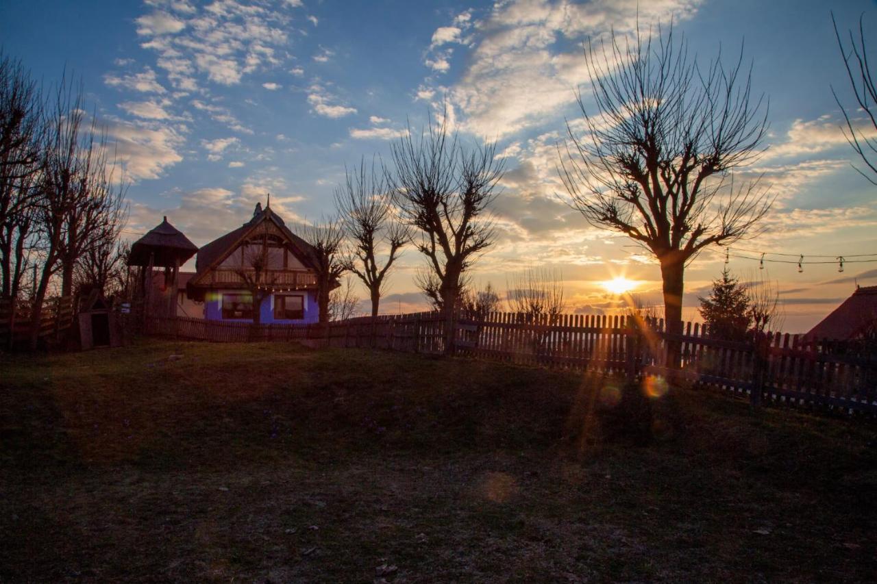 Casele Cu Stuf B&B Haus Ulrike Salicea ภายนอก รูปภาพ