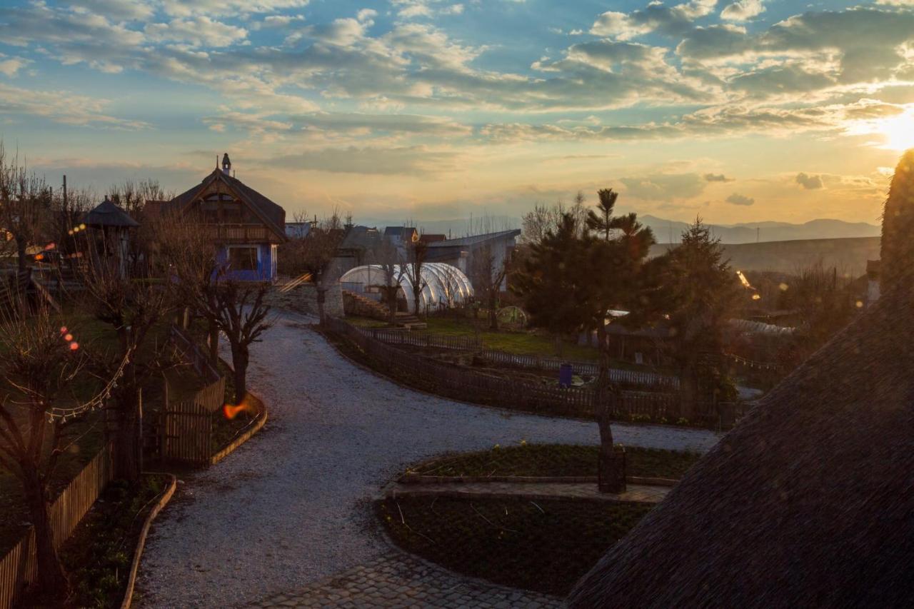 Casele Cu Stuf B&B Haus Ulrike Salicea ภายนอก รูปภาพ