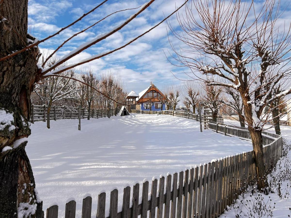 Casele Cu Stuf B&B Haus Ulrike Salicea ภายนอก รูปภาพ
