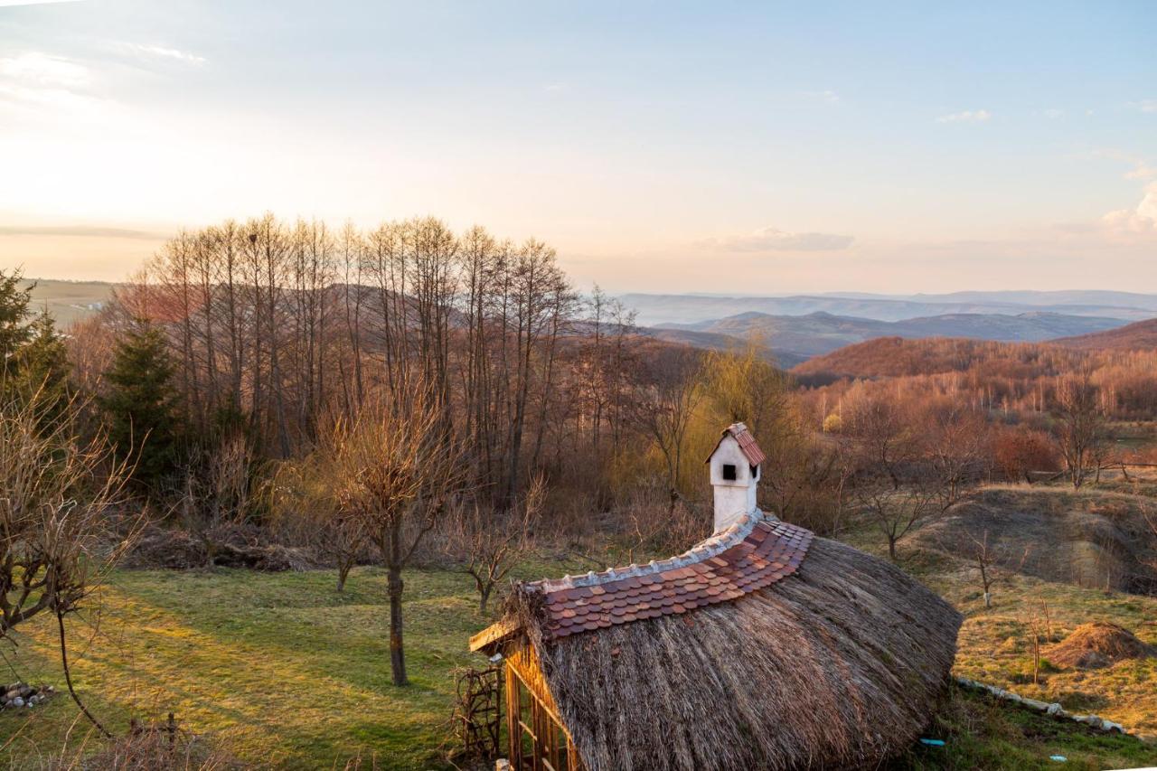 Casele Cu Stuf B&B Haus Ulrike Salicea ภายนอก รูปภาพ