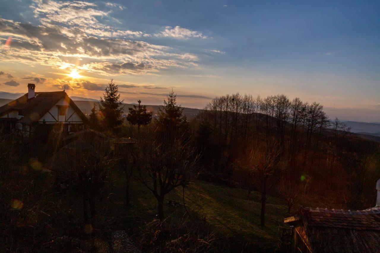 Casele Cu Stuf B&B Haus Ulrike Salicea ภายนอก รูปภาพ