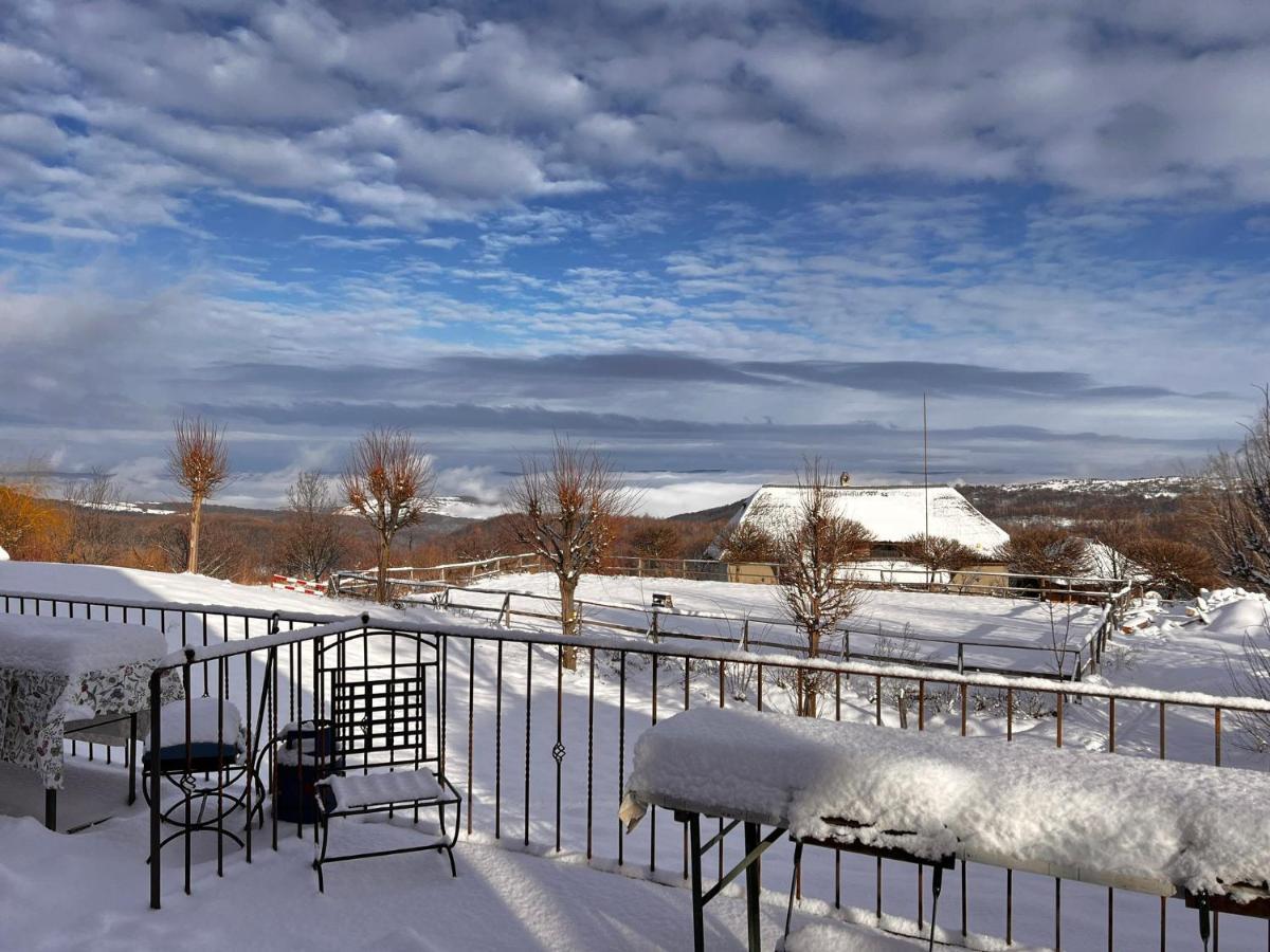 Casele Cu Stuf B&B Haus Ulrike Salicea ภายนอก รูปภาพ