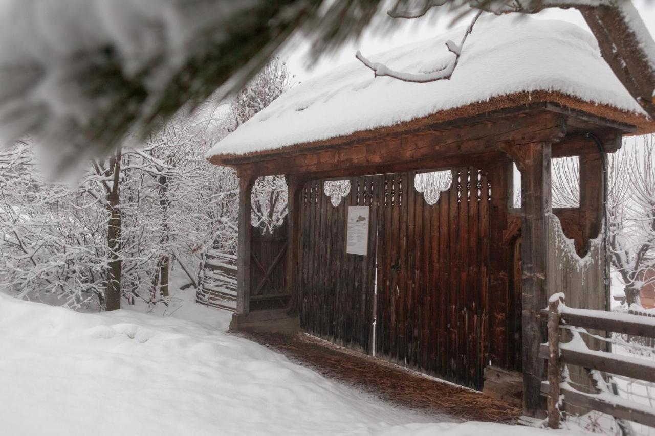 Casele Cu Stuf B&B Haus Ulrike Salicea ภายนอก รูปภาพ