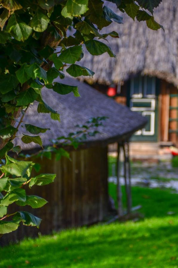 Casele Cu Stuf B&B Haus Ulrike Salicea ภายนอก รูปภาพ