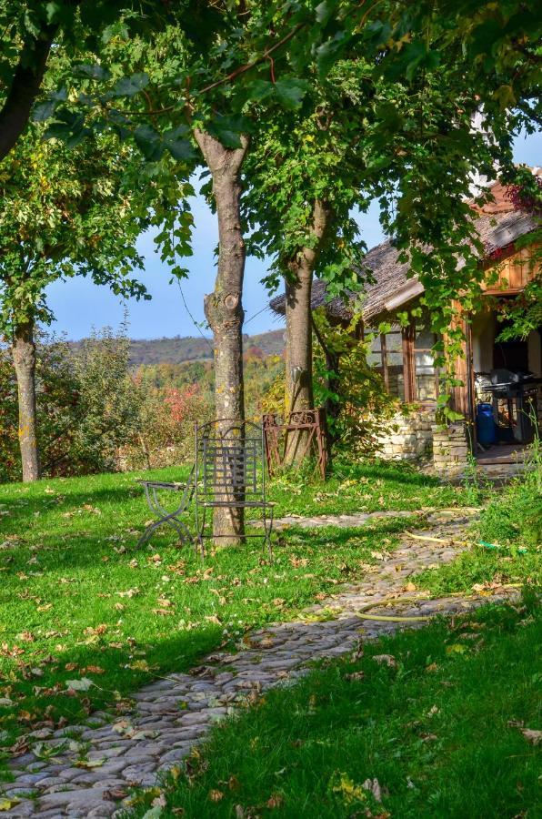 Casele Cu Stuf B&B Haus Ulrike Salicea ภายนอก รูปภาพ