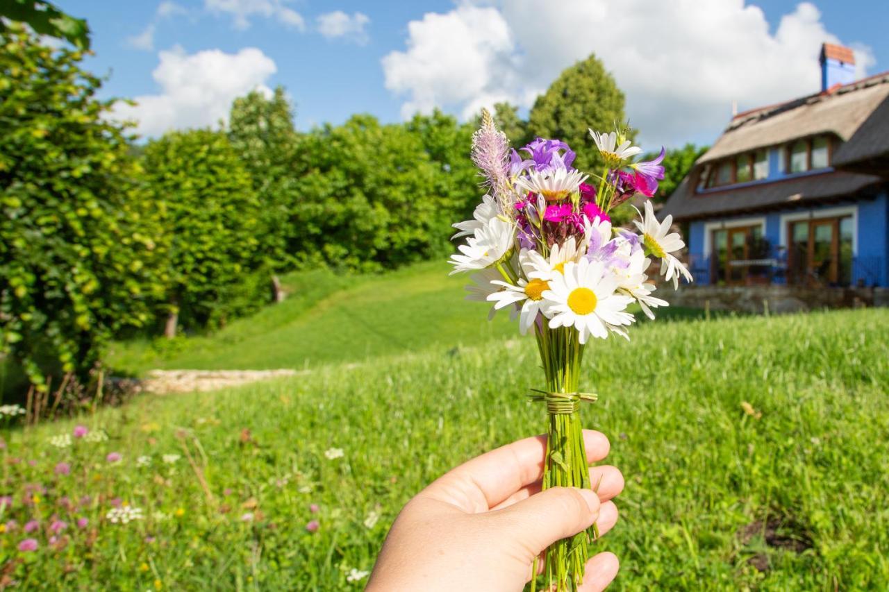 Casele Cu Stuf B&B Haus Ulrike Salicea ภายนอก รูปภาพ