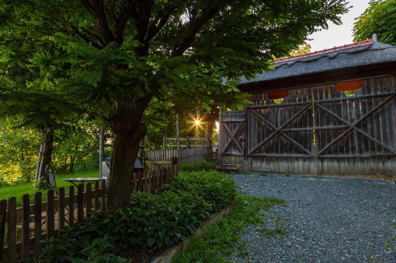Casele Cu Stuf B&B Haus Ulrike Salicea ภายนอก รูปภาพ