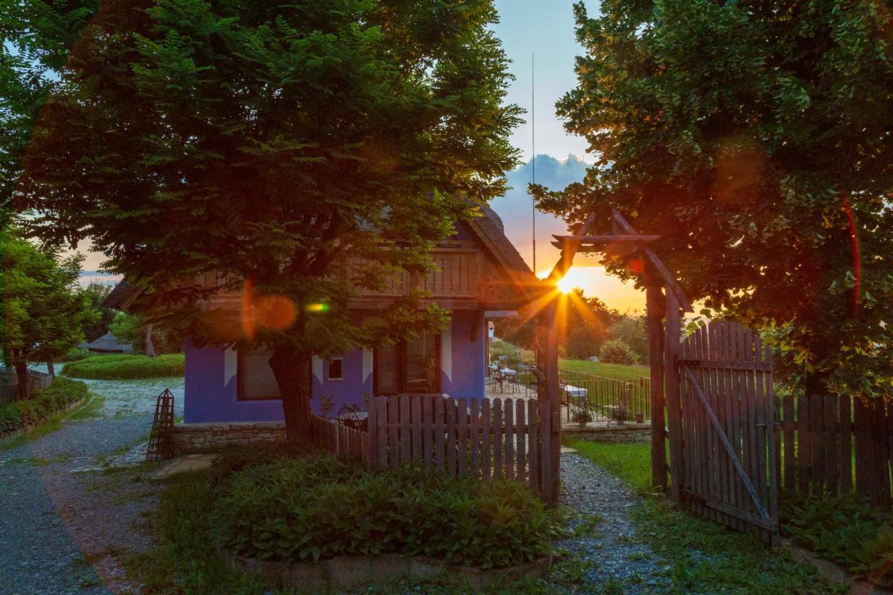 Casele Cu Stuf B&B Haus Ulrike Salicea ภายนอก รูปภาพ