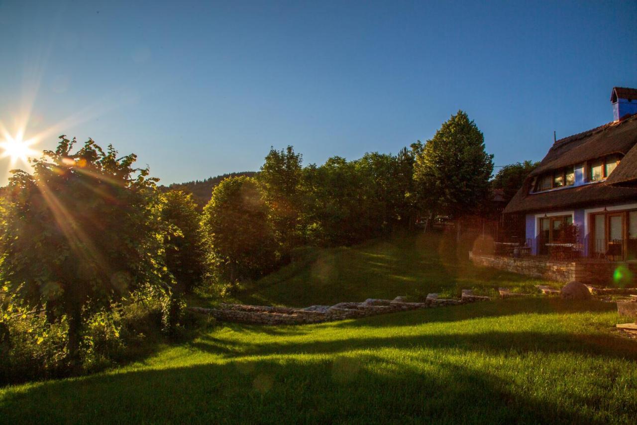 Casele Cu Stuf B&B Haus Ulrike Salicea ภายนอก รูปภาพ